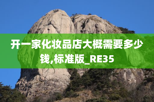 开一家化妆品店大概需要多少钱,标准版_RE35