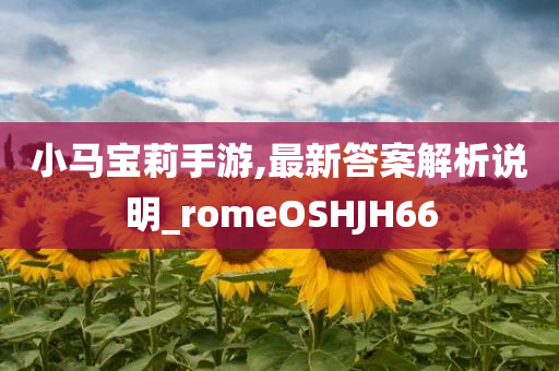 小马宝莉手游,最新答案解析说明_romeOSHJH66