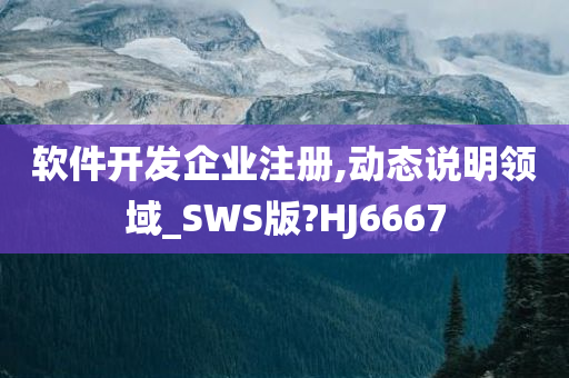 软件开发企业注册,动态说明领域_SWS版?HJ6667