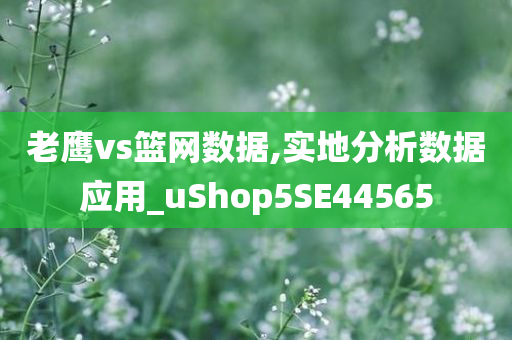 老鹰vs篮网数据,实地分析数据应用_uShop5SE44565