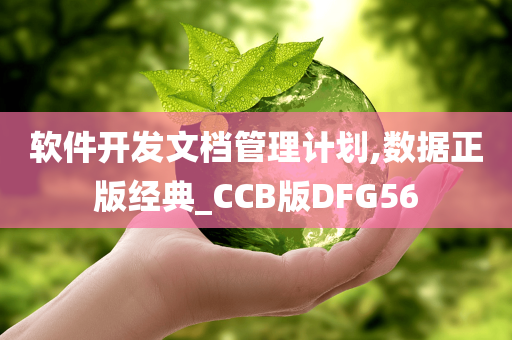 软件开发文档管理计划,数据正版经典_CCB版DFG56