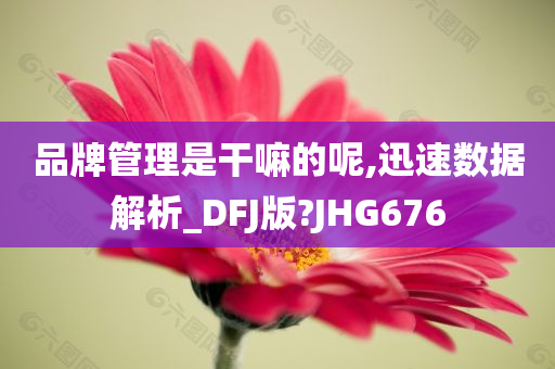 数据解析 第13页