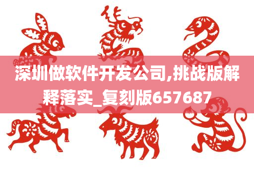 深圳做软件开发公司,挑战版解释落实_复刻版657687