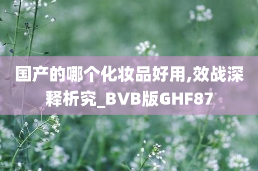 国产的哪个化妆品好用,效战深释析究_BVB版GHF87