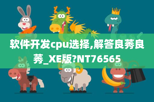 软件开发cpu选择,解答良莠良莠_XE版?NT76565