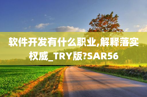 软件开发有什么职业,解释落实权威_TRY版?SAR56