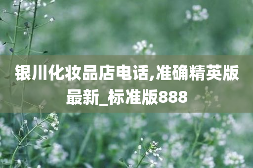 银川化妆品店电话,准确精英版最新_标准版888