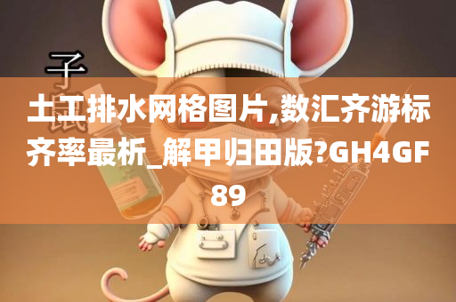土工排水网格图片,数汇齐游标齐率最析_今晚必出三肖2025_2025新澳门精准免费提供·精确判断解甲归田版?GH4GF89