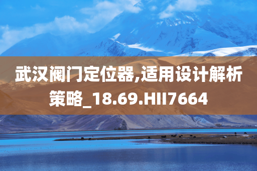 武汉阀门定位器,适用设计解析策略_18.69.HII7664