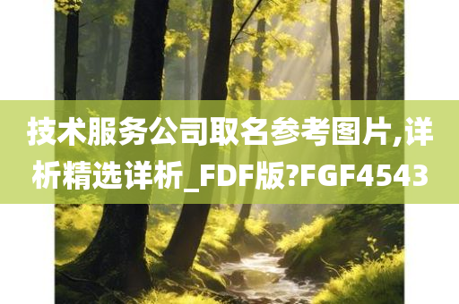 技术服务 第5页