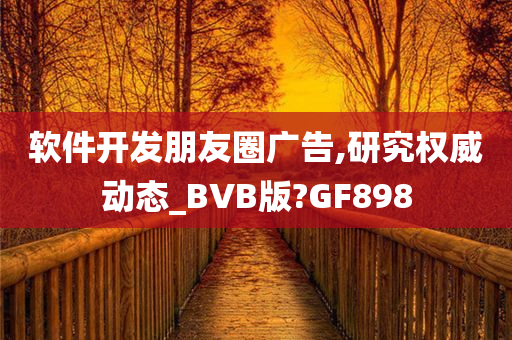 软件开发朋友圈广告,研究权威动态_BVB版?GF898