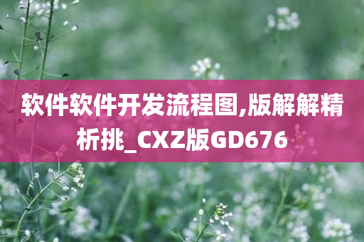 GD676 第11页
