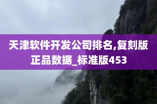 天津软件开发公司排名,复刻版正品数据_标准版453