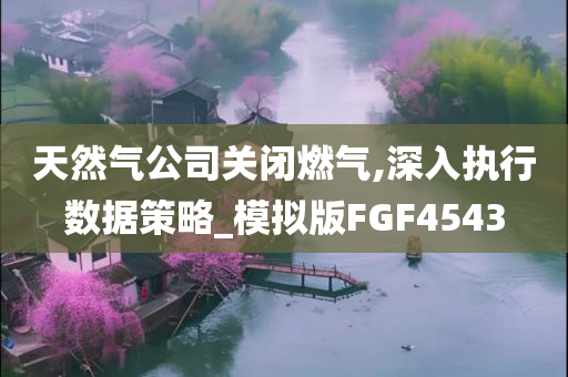 天然气公司关闭燃气,深入执行数据策略_模拟版FGF4543