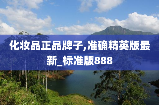 化妆品正品牌子,准确精英版最新_标准版888
