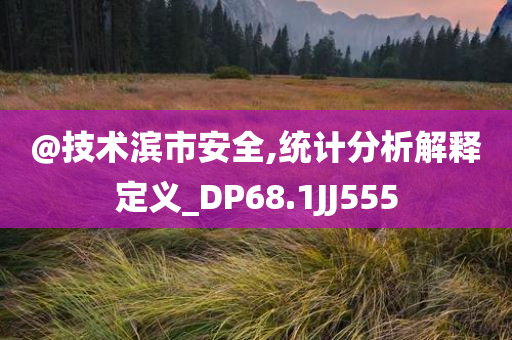 @技术滨市安全,统计分析解释定义_DP68.1JJ555