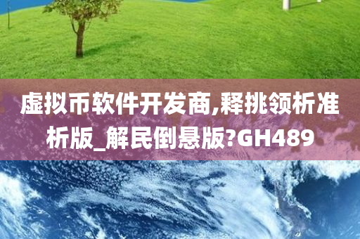 虚拟币软件开发商,释挑领析准析版_解民倒悬版?GH489