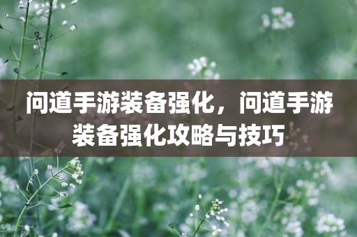问道手游装备强化，问道手游装备强化攻略与技巧