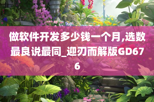 做软件开发多少钱一个月,选数最良说最同_迎刃而解版GD676