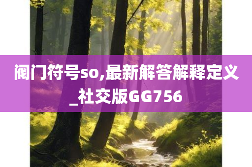 阀门符号so,最新解答解释定义_社交版GG756