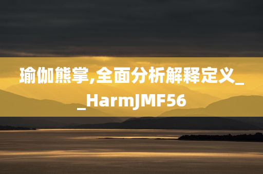 瑜伽熊掌,全面分析解释定义__HarmJMF56
