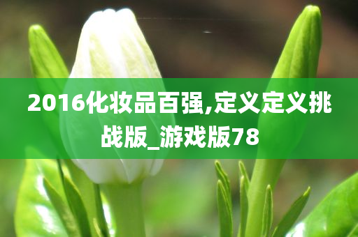 2016化妆品百强,定义定义挑战版_游戏版78
