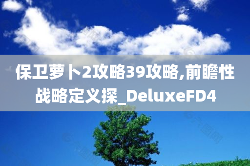 保卫萝卜2攻略39攻略,前瞻性战略定义探_DeluxeFD4
