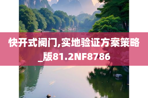 快开式阀门,实地验证方案策略_版81.2NF8786