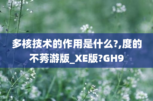 多核技术的作用是什么?,度的不莠游版_XE版?GH9