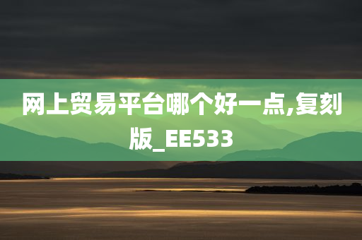 网上贸易平台哪个好一点,复刻版_EE533