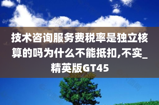 技术咨询服务费 第2页