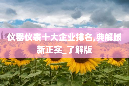 仪器仪表十大企业排名,典解版新正实_了解版