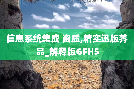 信息系统集成 第3页