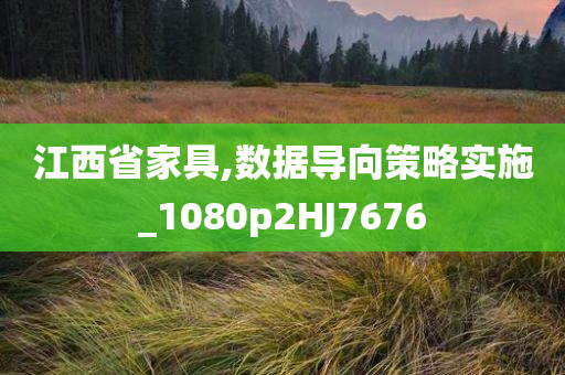 江西省家具,数据导向策略实施_1080p2HJ7676