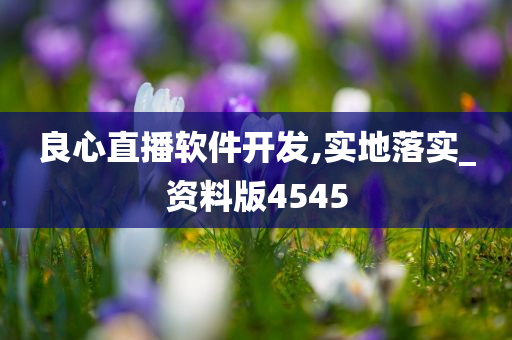 良心直播软件开发,实地落实_资料版4545