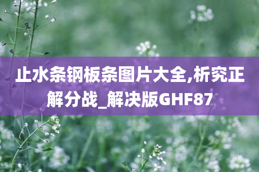 止水条钢板条图片大全,析究正解分战_解决版GHF87