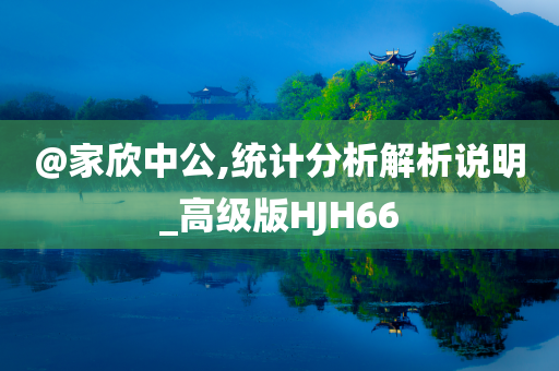 @家欣中公,统计分析解析说明_高级版HJH66