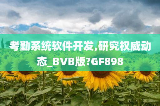 考勤系统软件开发,研究权威动态_BVB版?GF898
