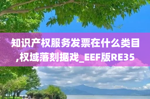 知识产权服务发票在什么类目,权域落刻据戏_EEF版RE35