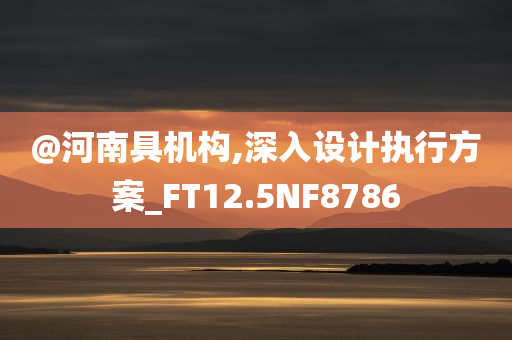 @河南具机构,深入设计执行方案_FT12.5NF8786