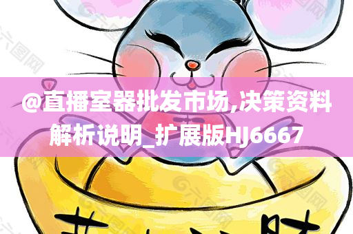 @直播室器批发市场,决策资料解析说明_扩展版HJ6667