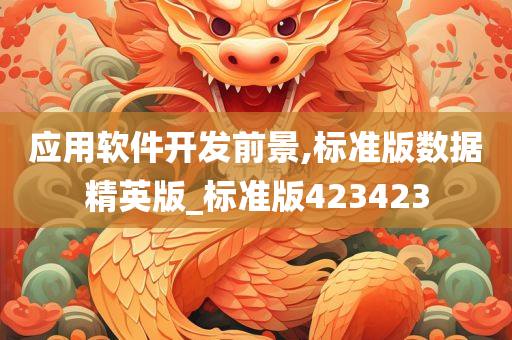 应用软件开发前景,标准版数据精英版_标准版423423