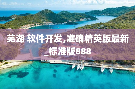 芜湖 软件开发,准确精英版最新_标准版888