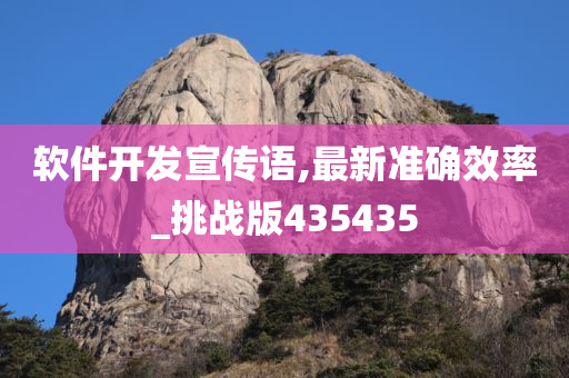 软件开发宣传语,最新准确效率_挑战版435435