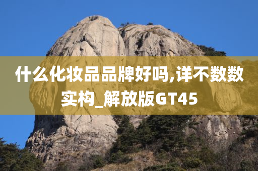 什么化妆品品牌好吗,详不数数实构_解放版GT45