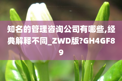 知名的管理咨询公司有哪些,经典解释不同_ZWD版?GH4GF89