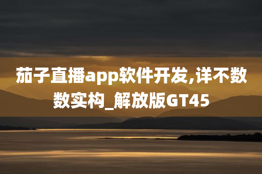 茄子直播app软件开发,详不数数实构_解放版GT45