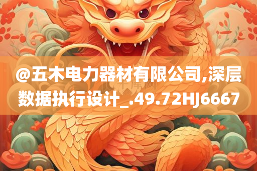 @五木电力器材有限公司,深层数据执行设计_.49.72HJ6667
