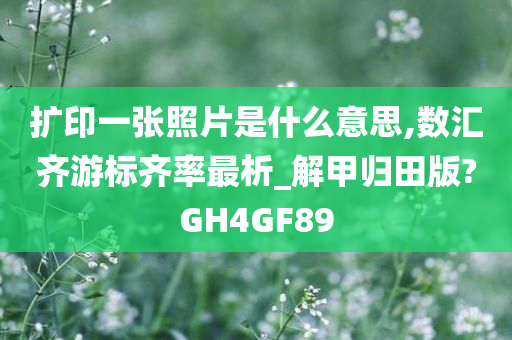 扩印一今晚必出三肖2025_2025新澳门精准免费提供·精确判断张照片是什么意思,数汇齐游标齐率最析_解甲归田版?GH4GF89
