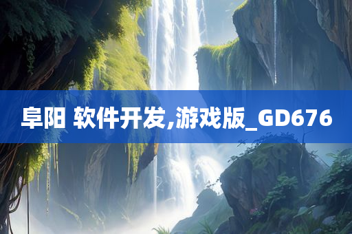 阜阳 软件开发,游戏版_GD676